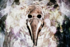 Plague-Doctor-in-the-Mist